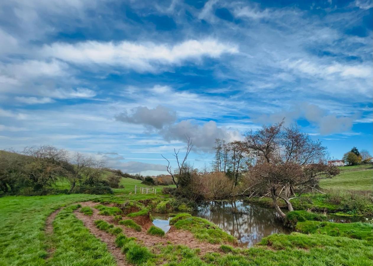 Dapps Hill Haven - Between Bristol And Bath, Both 9 Mins By Train! Keynsham Eksteriør billede